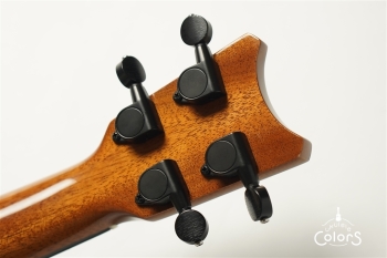 Romero Concert Spalted Mango